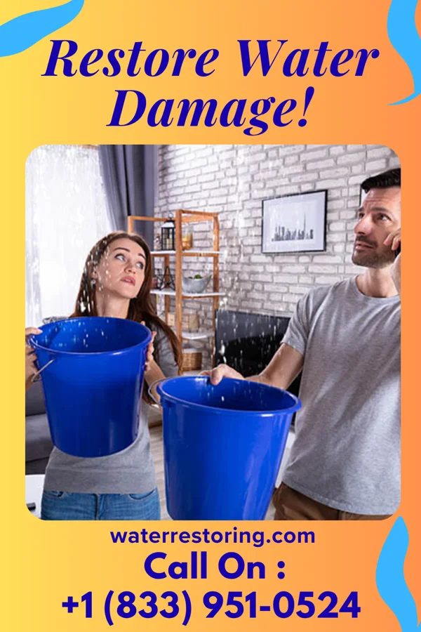 water restoration First Flood Damage LLC Marksville