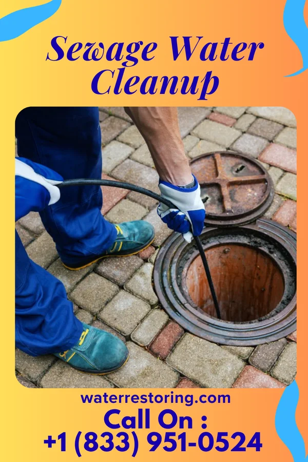Sewage Water Cleanup in Marksville, LA